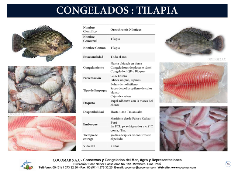 14. Cocomar (Peru) – Tilapia congelada