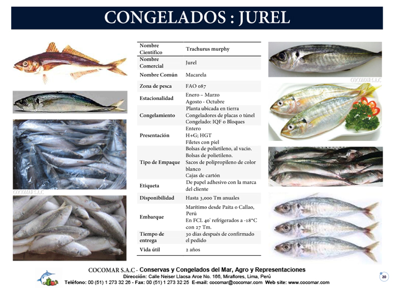 16. Cocomar (Peru) – Jurel congelado