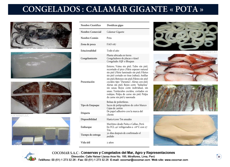 17. Cocomar (Peru) – Calamar Gigante congelado