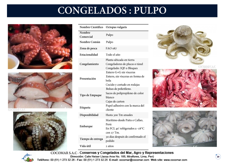 24. Cocomar (Peru) – Pulpo congelado