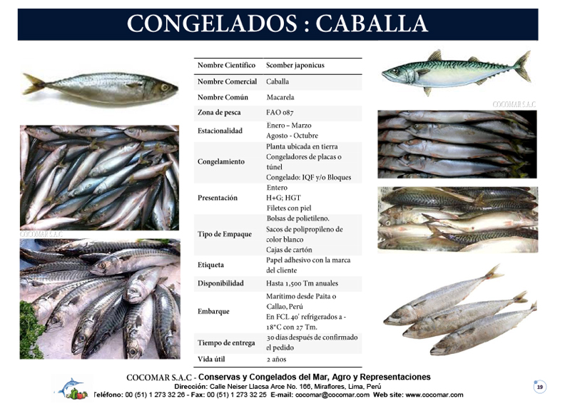 5. Cocomar (Peru) – Caballa congelada