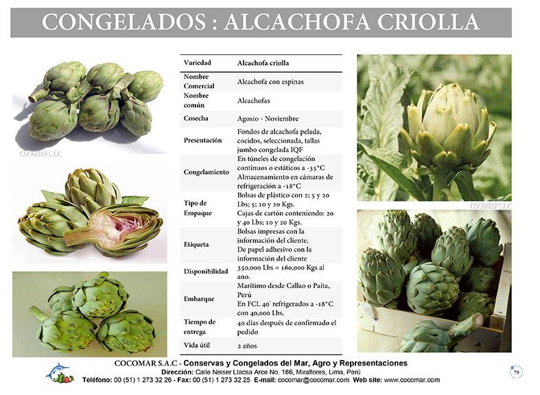 ALCACHOFAS CRIOLLA