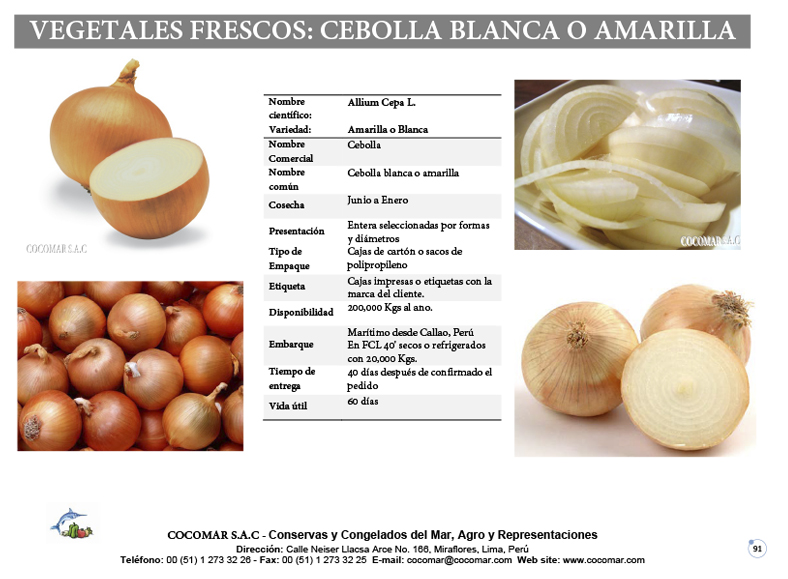 CEBOLLA AMARILLA