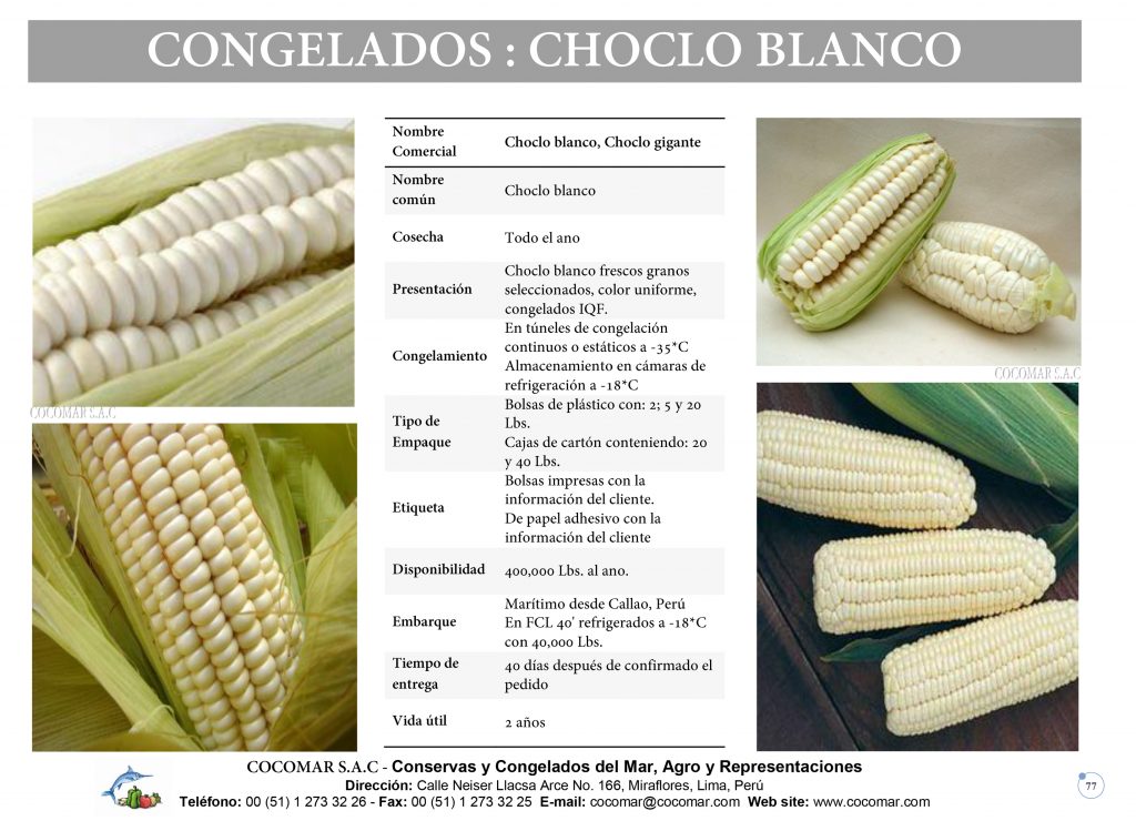 CHOCLO BLANCO