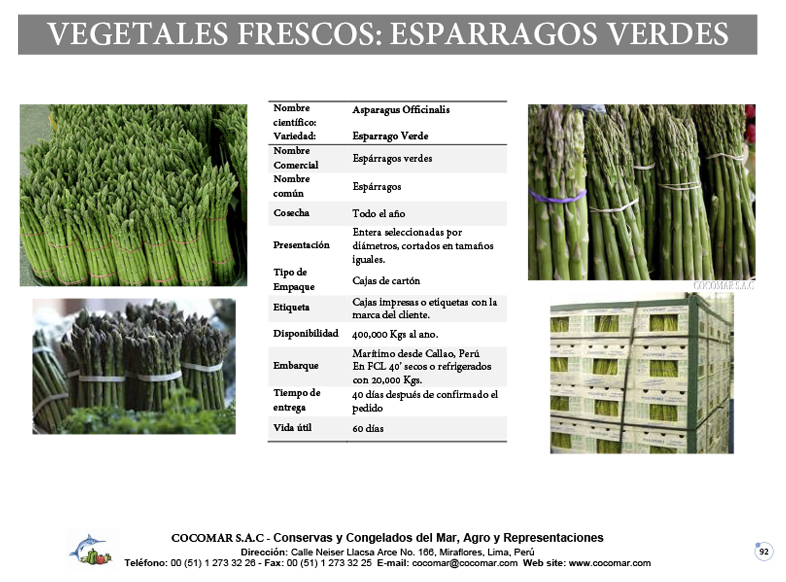 ESPARRAGOS VERDES