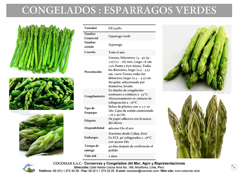 ESPARRAGOS VERDES