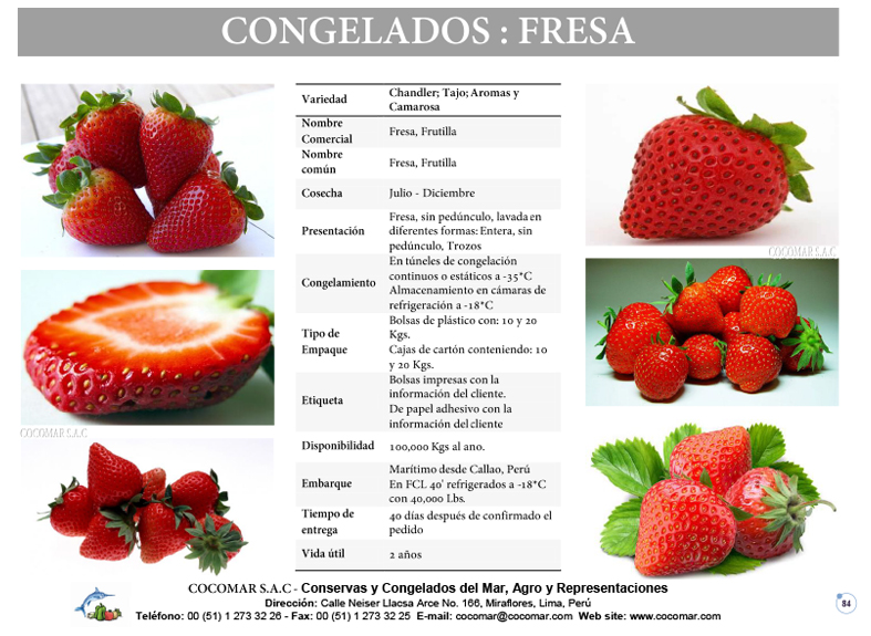 FRESA