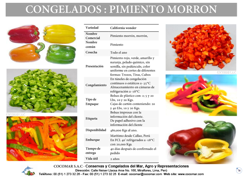 PIMIENTO MORRON